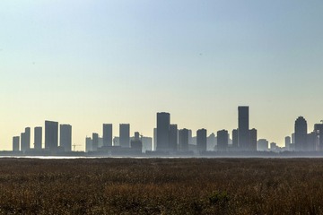 崛起的城市