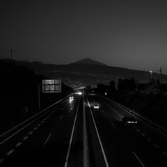 L1001813