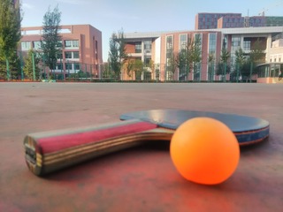156286