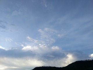124006