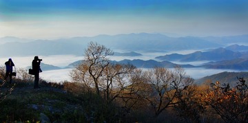 江山多娇