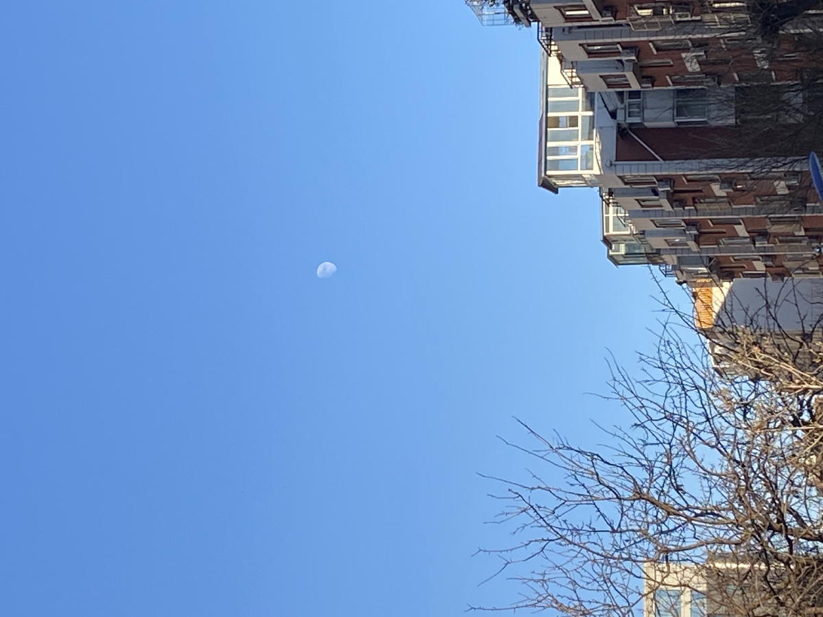 勤快的月亮大白天就上班了