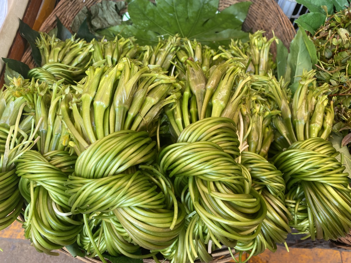 逛大观篆新市场一堆叫不上名字的菜按两卖菜还是公