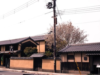 P4160627-6