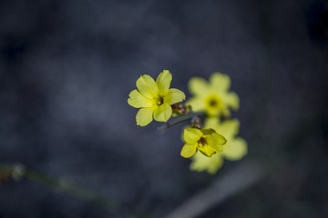1138066