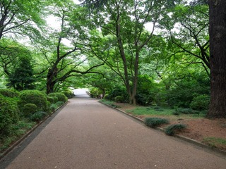 新宿御苑 (1)