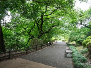 新宿御苑 (11)