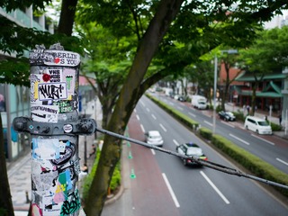 电线杆的涂鸦