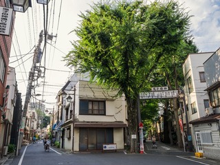鬼子母神社