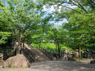 飞鸟山公园