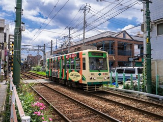 荒川慢节奏