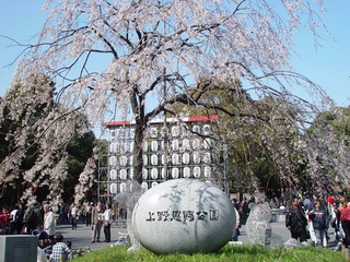 532903