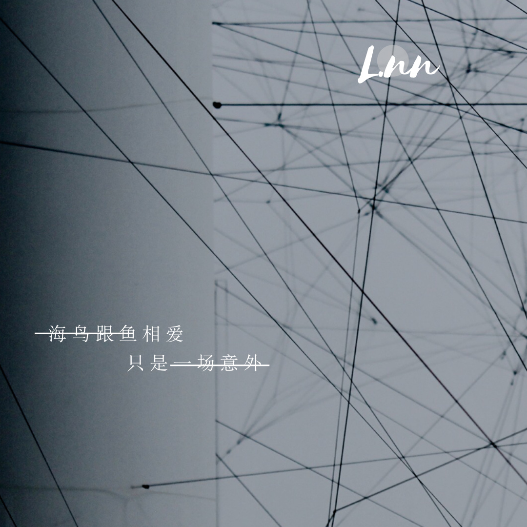 海鸟跟鱼相爱只是一场意外