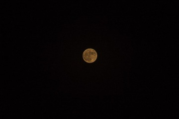IMGP4835-1