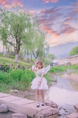 161215