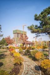 楼下小院子