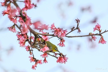 JW9A2781-编辑-编辑