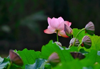 E08036FE-A56D-4A77-81E8-7A320583C0B7/L0/001