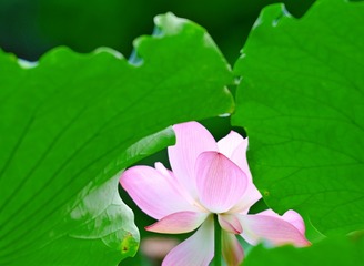 001