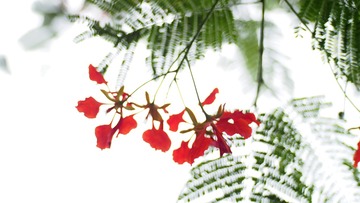 P5303330