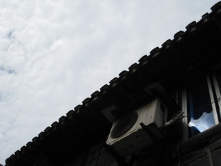 苍狗