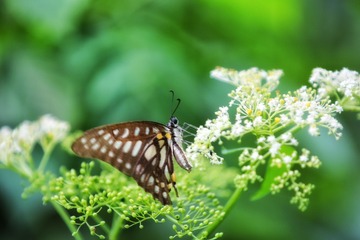 2D8A9919-02