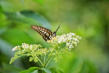 2D8A9893-01