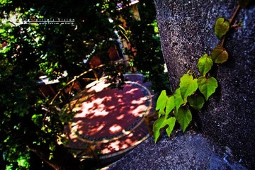 IMG_7664-ok