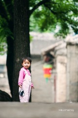 萝莉