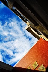 IMG_8238-ok