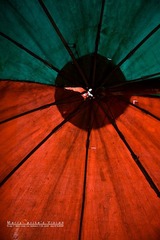 IMG_4383-ok