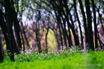 IMG_3889-ok