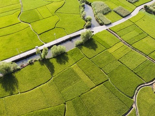9E765BCE-50B8-41DD-BCB1-E57353C8BFCF/L0/001
