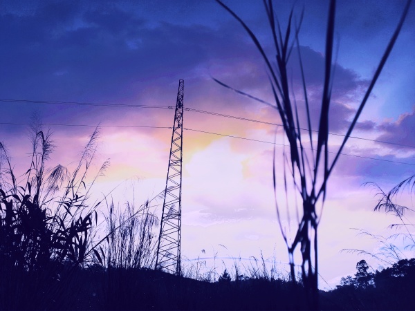 陈小廷-的最新作品