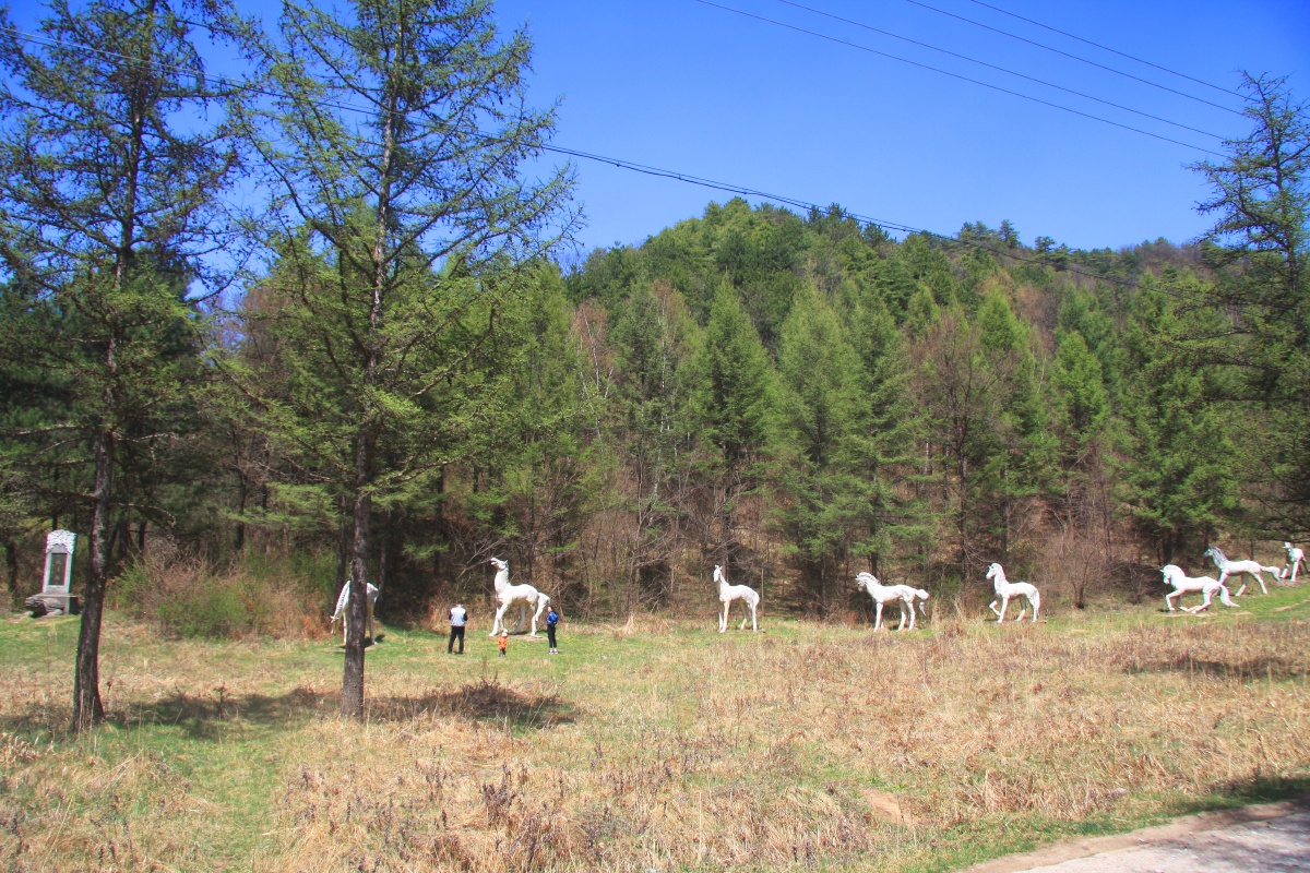 甘肃天水春天的牧马滩春光无限