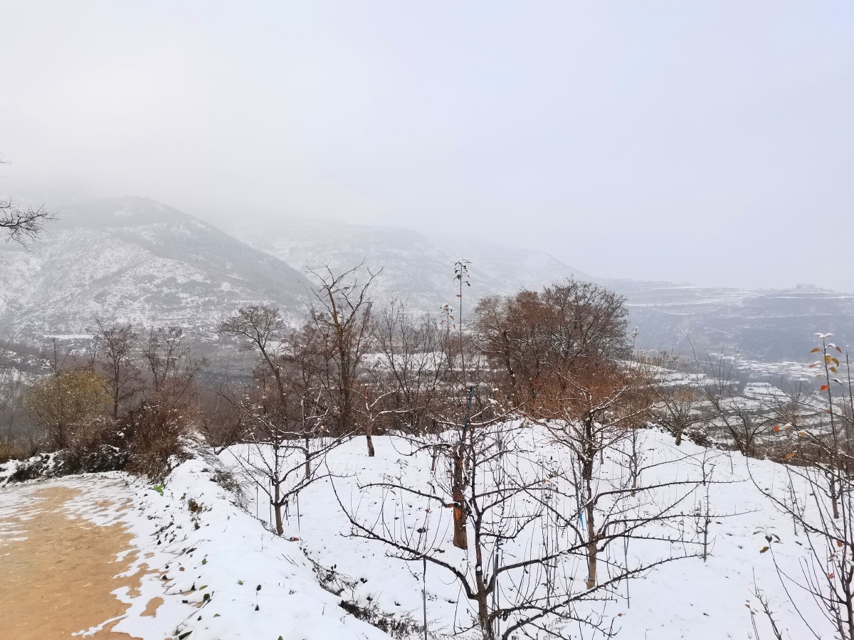 天水乡村元土村下雪了冬天去看雪