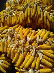 IMG_20160915_130020