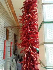 IMG_20160915_135328
