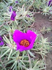 IMG_20160903_125334