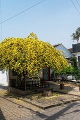 1B116AC2-203D-4651-B9A6-F7E25FDC8866/L0/001
