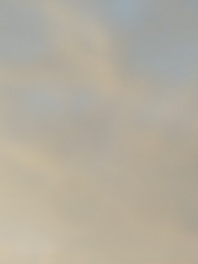 769438
