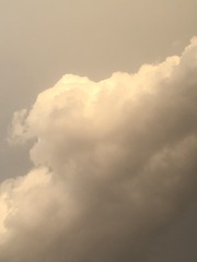 FC19DBFF-DDD7-49B4-B4C2-026351C57E1F/L0/001