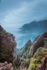 QIN_6424