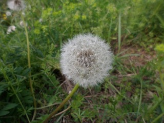 SAM_3073