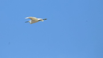 IMG_20160830_143835
