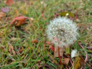 IMG_20161018_150912574-01
