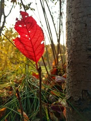 IMG_20161018_152049189_HDR-01