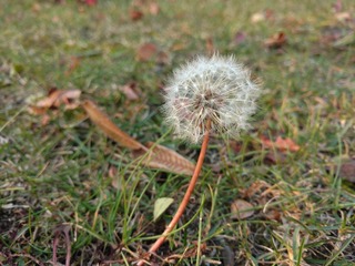 IMG_20161018_151045591-01