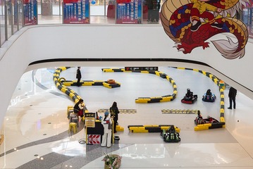 L1006088
