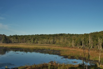 _IMG0797